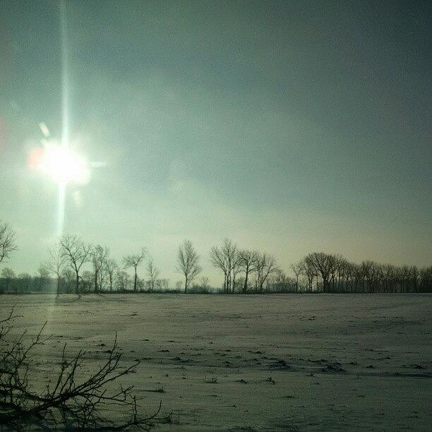 Sunny But Cold Sunday #hoosierskies Photograph by Sandy MacGowan