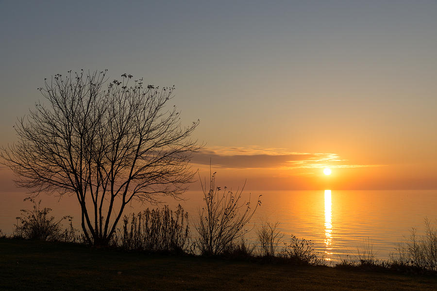 Sunny Calm and Peaceful - a Lake Shore Daybreak Photograph by Georgia Mizuleva