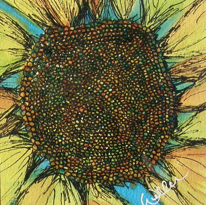 Flower Painting - Sunny Centers by Marcia Weller-Wenbert