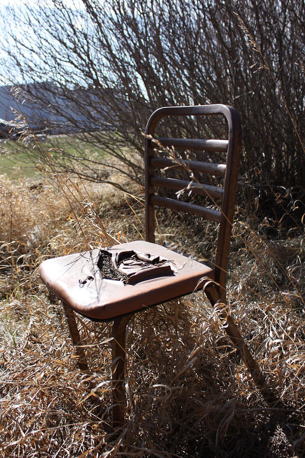 Chair Photograph - Sunny Chair by Larysa  Luciw