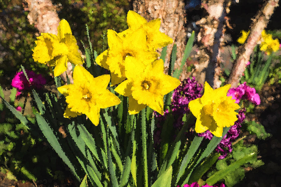 Sunny Daffodil Bouquet - Impressions Of Spring Digital Art