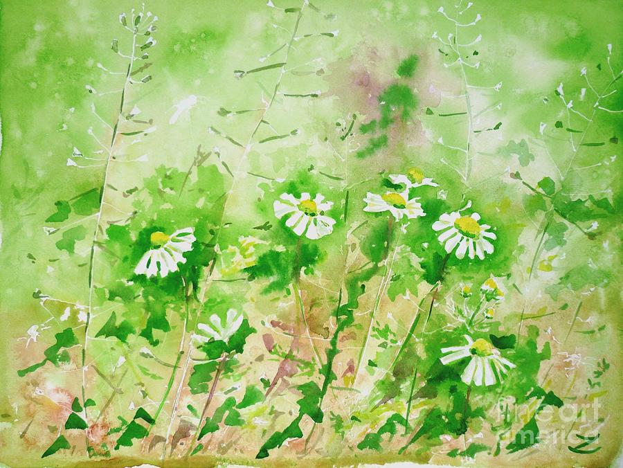 Daisy Painting - Sunny Daisies by Zaira Dzhaubaeva