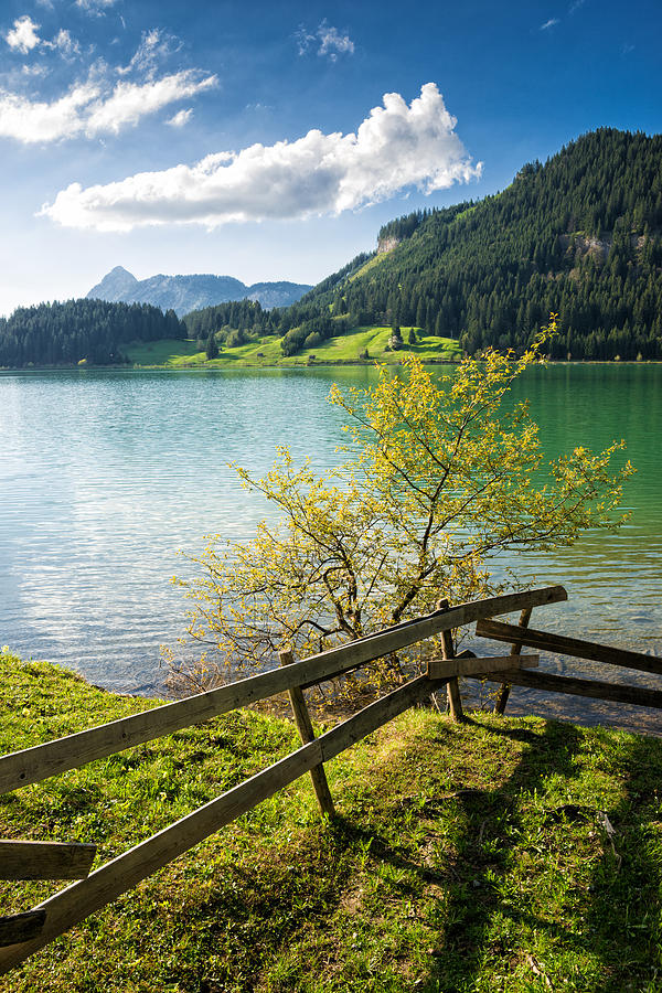 Sunny day at the lake - green grass and blue sky in spring Photograph by Matthias Hauser