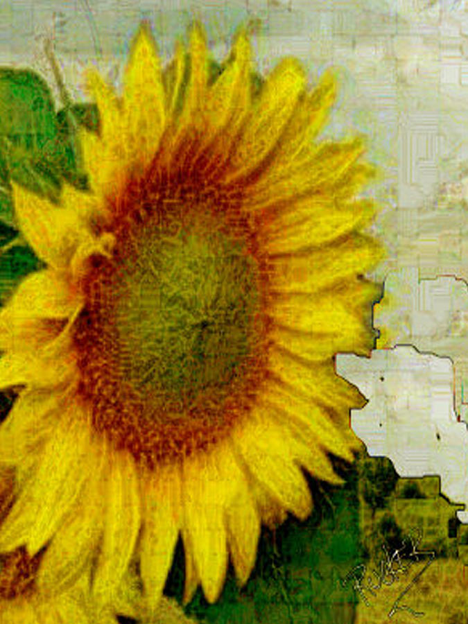 Sunny Flower Digital Art by Mary Rucker - Fine Art America