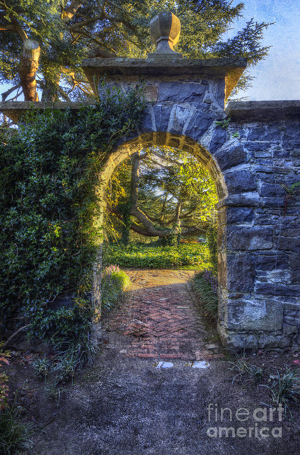 Sunny Garden Arch Photograph by Ian Mitchell
