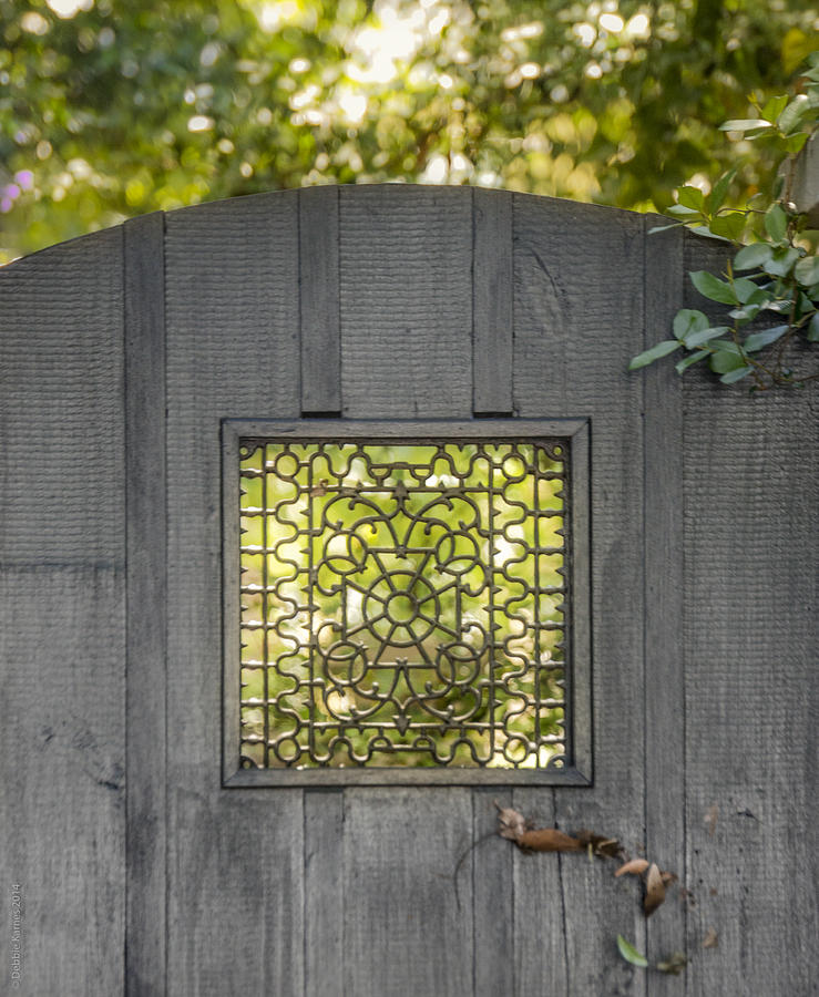 Sunny Garden Gate in Charleston Photograph by Debbie Karnes