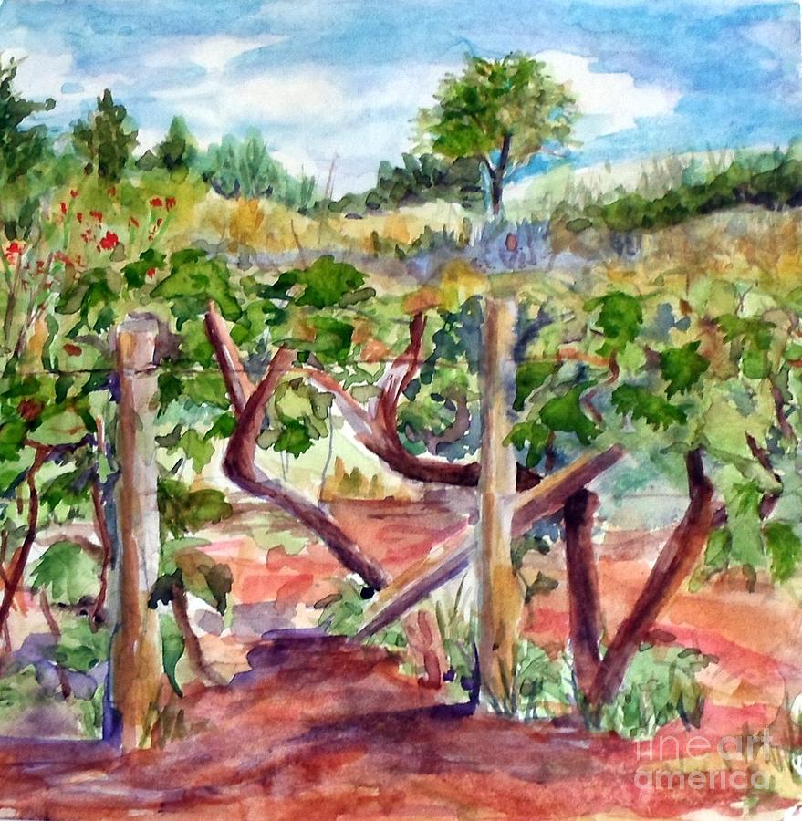 Sunny Grape Fields of Medjugorie Painting by Vicki  Housel