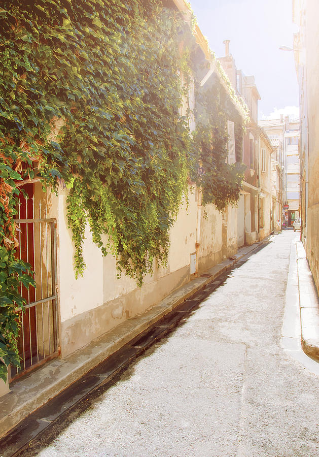 Avignon Photograph - Sunny grape street by Yevgeni Kacnelson