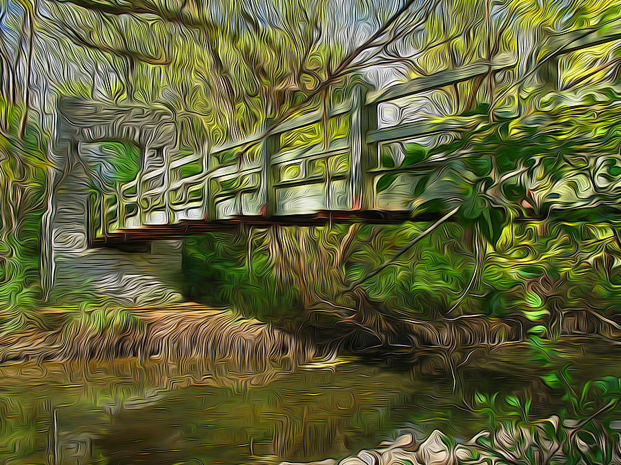 Sunny Hoyt Foot Bridge Digital Art by Geoff Strehlow