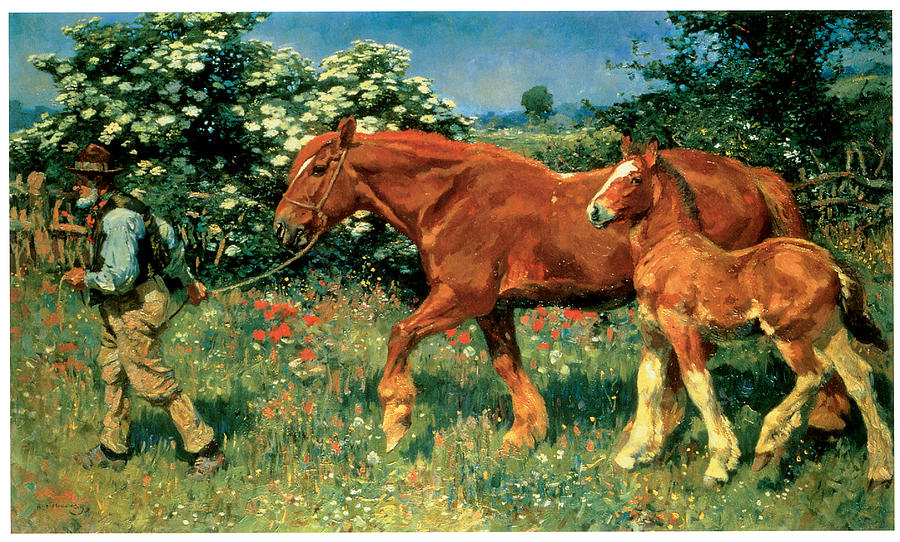 Horse Painting - Sunny June by Alfred Munnings