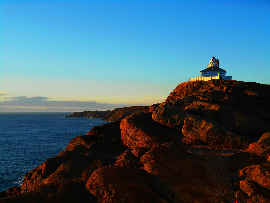 Sunny Morning At Cape Spear Photograph by Zinvolle Art