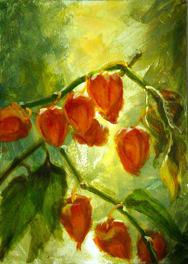 Sunny Physalis Painting