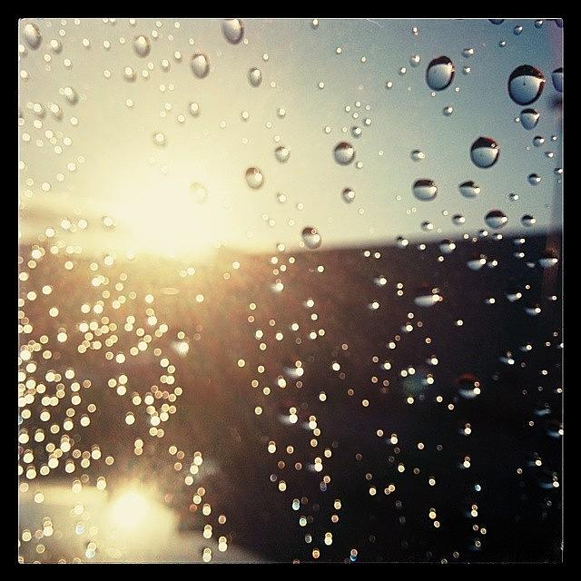 Sunny Rain ☔ Photograph by Raimond Klavins