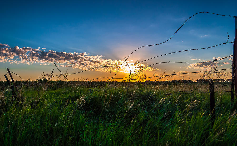 Sunset Photograph - Sunny Side Of The Fence by Mark McDaniel