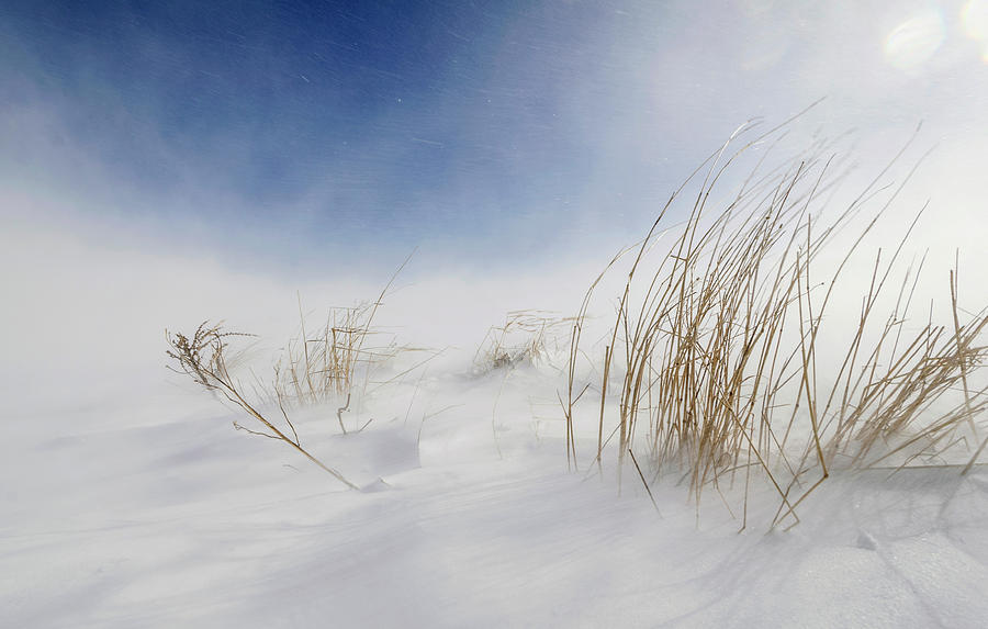 Sunny Snowstorm Photograph by Carlo Tonti