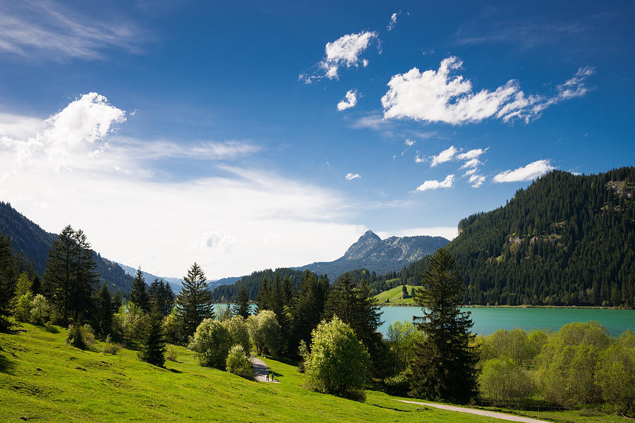 Sunny spring day at the lake blue sky and green meadow Photograph by Matthias Hauser