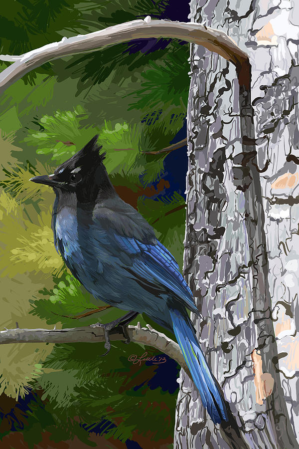 Sunny Stellers Jay Painting by Pam Little