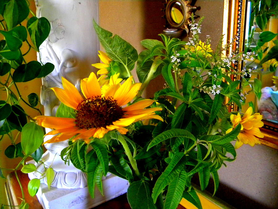 Sunny Sunshine by Sian Lindemann Sunny Sunshine by Sian Lindemann