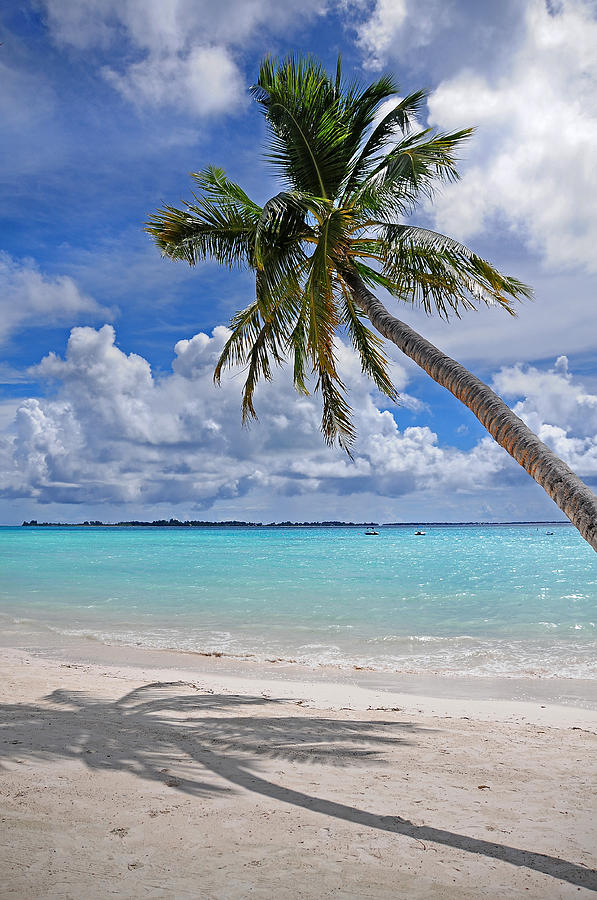 Sunny Tropic Day. Maldives Photograph by Jenny Rainbow | Fine Art America