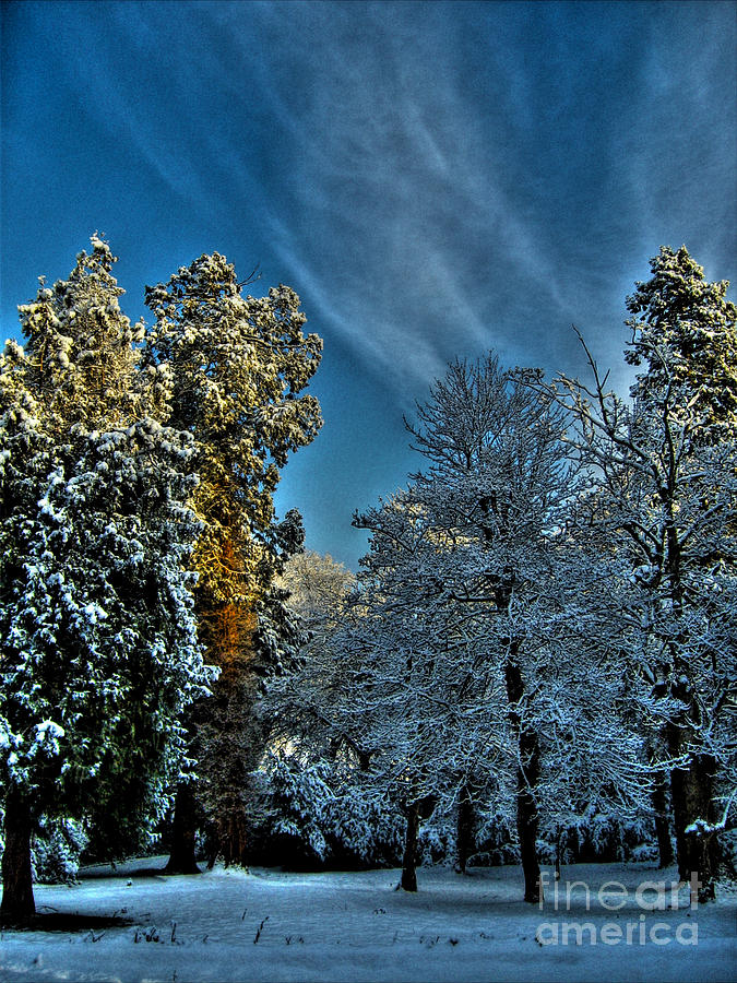Sunny Winter Day Photograph by Nina Ficur Feenan