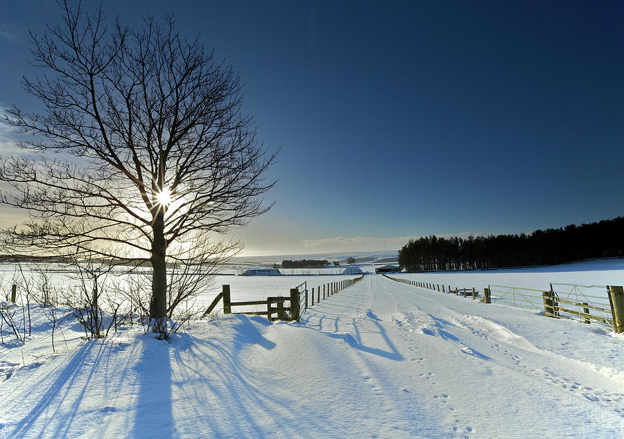 Sunny Winter Landscape In Northumberland Photograph by By Simon Gakhar