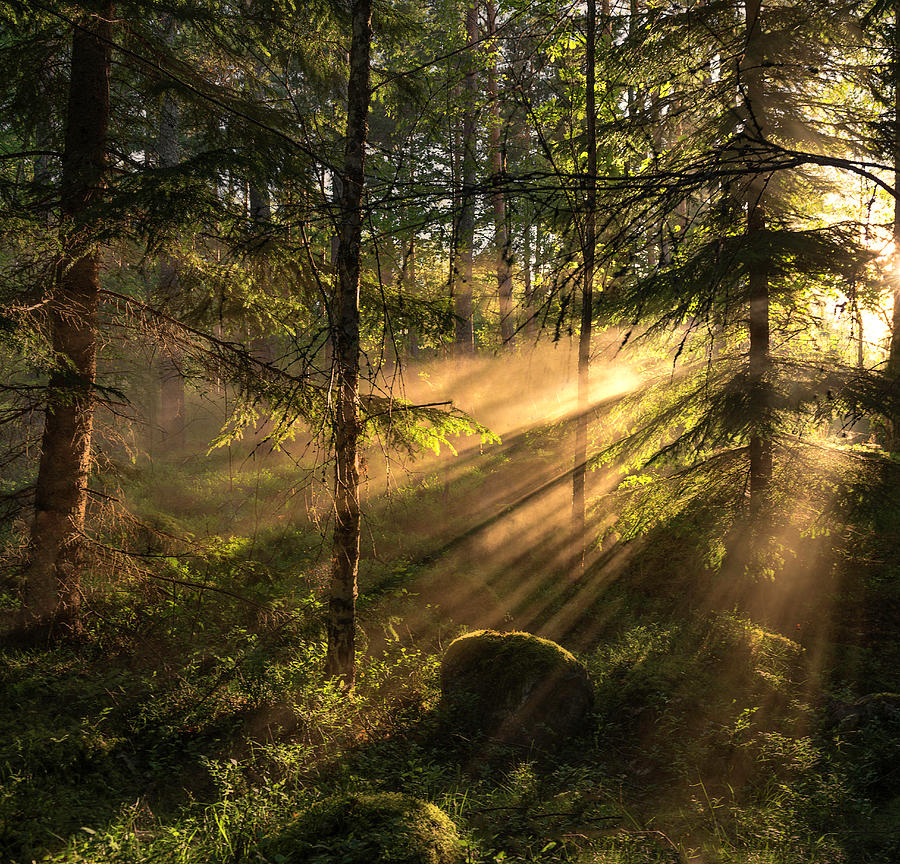 Light Photograph - Sunrays by Christian Lindsten