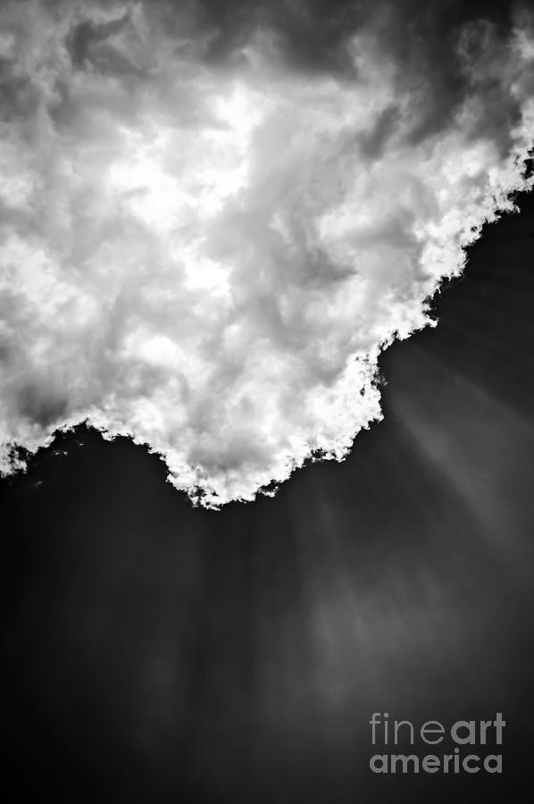 Nature Photograph - Sunrays in black and white by Elena Elisseeva