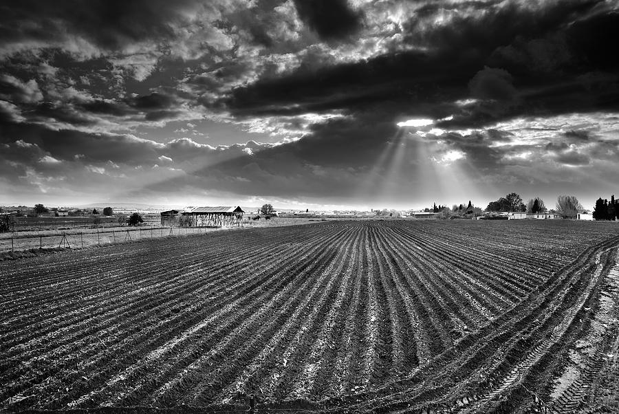 Black And White Photograph - Sunrays over old dryer tobacco by Guido Montanes Castillo
