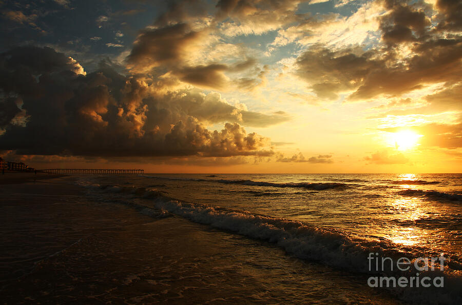 Summer Photograph - Sunrise - Rich Beauty by Wayne Moran