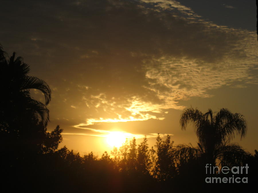 Morning Sky. Sunrise 8. Florida Photograph by Oksana Semenchenko