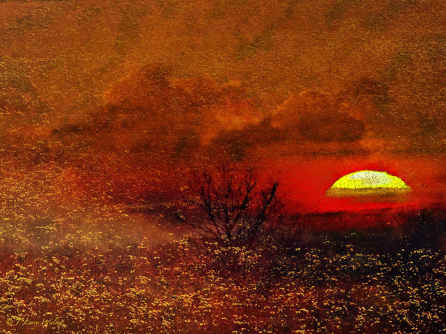 Sunrise Abstract Digital Art by J Larry Walker