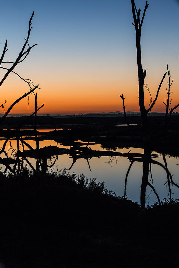 Sunrise Across the Sacred Land Photograph by Denise Dube