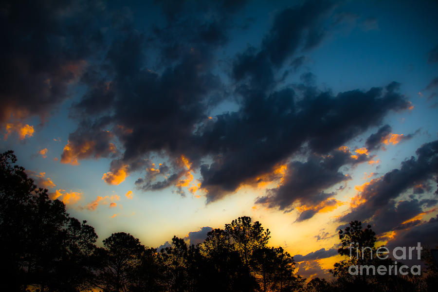 Tree Photograph - Sunrise and Clouds by Ursula Lawrence
