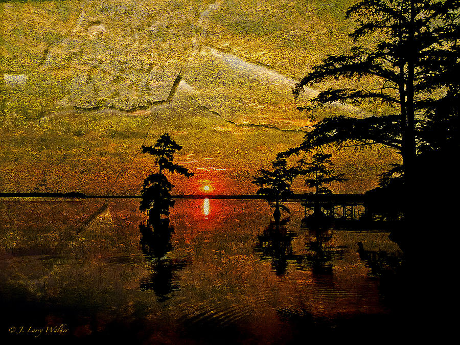 Walker Digital Art - Sunrise And Cypress Abstract by J Larry Walker