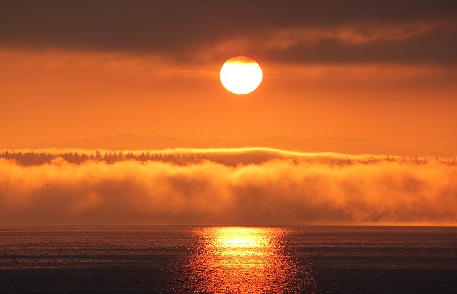 Sunrise and Fog Photograph by E Faithe Lester