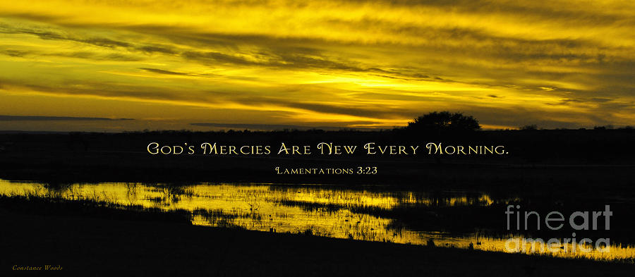Sunrise and New Mercies Painting by Constance Woods