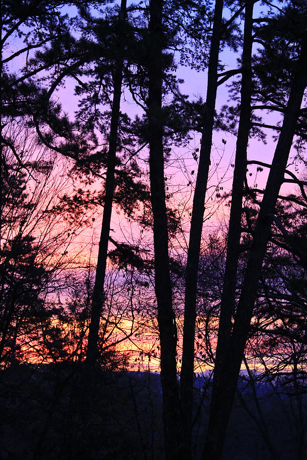 Sunrise and Silhouetted Trees Photograph by Melinda Fawver