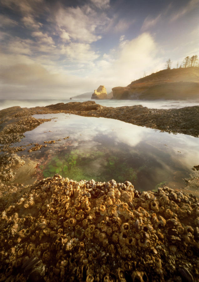 Sunrise And Tide Pools Along The Oregon Photograph by Zeb Andrews