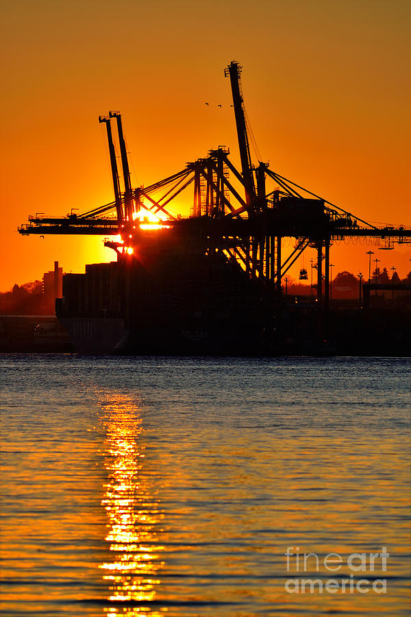 Sunrise At Ballantyne Pier - Port Of Vancouver Photograph by Terry Elniski