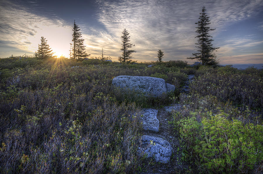 Sunrise at Bear Rocks Photograph by Michael Donahue