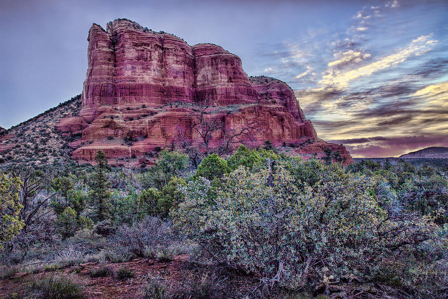 Sunrise at Bell Rock Photograph by Diana Powell