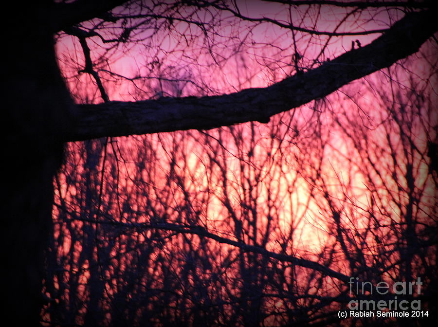 Sunrise at Blue Horse Photograph by Rabiah Seminole