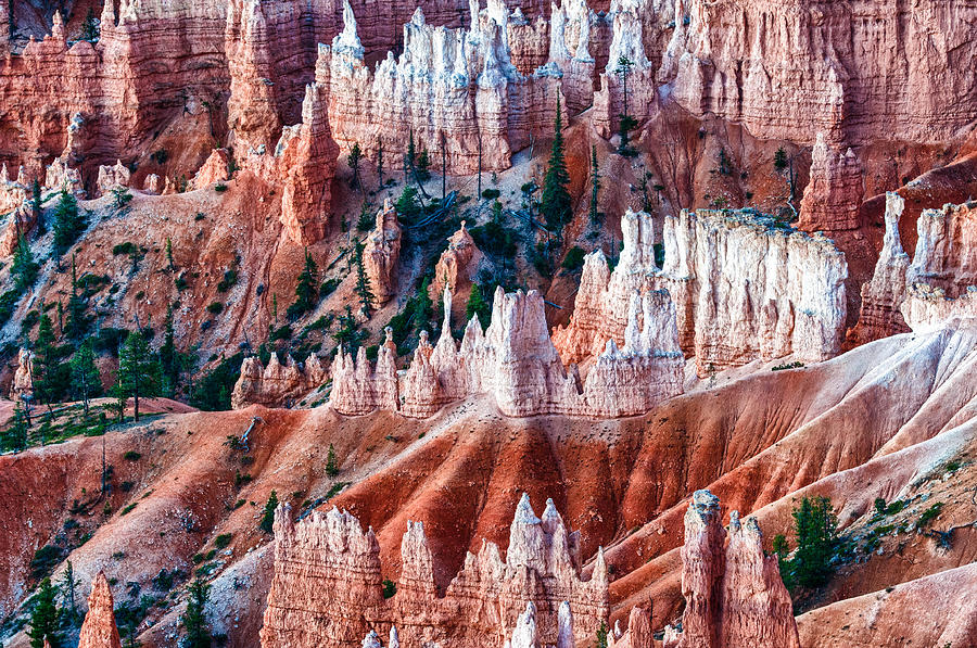 Hoodoos Photograph - Sunrise At Bryce Canyon by Linda Pulvermacher