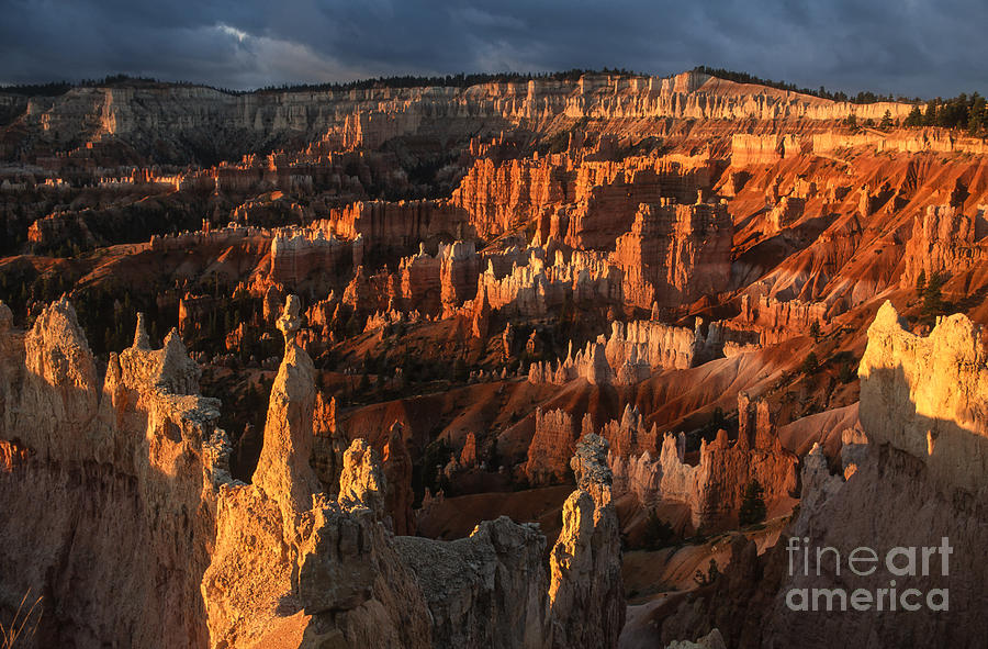 Landscape Photograph - Sunrise at Bryce Canyon by Sandra Bronstein