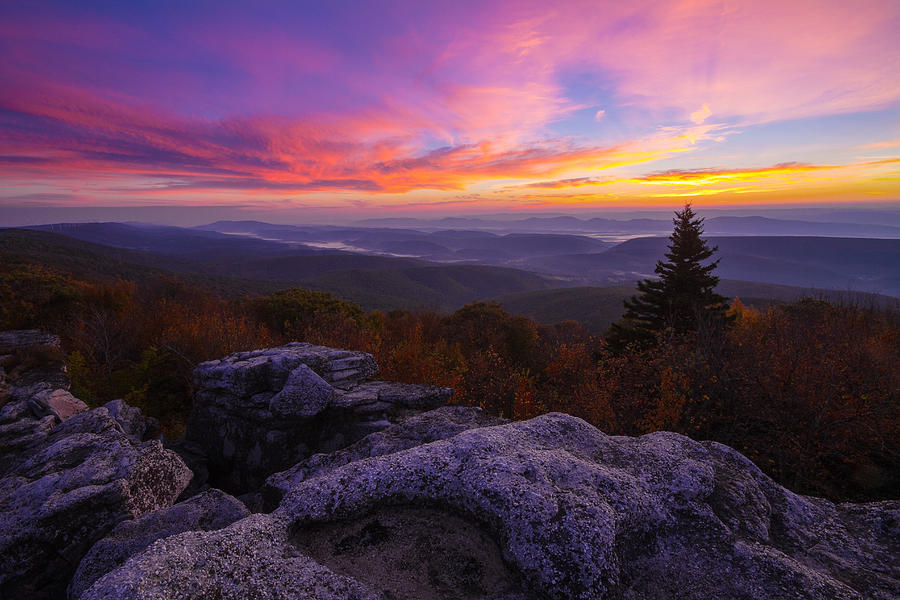 Sunrise at Dolly Sods in West Virginia Photograph by Jetson Nguyen
