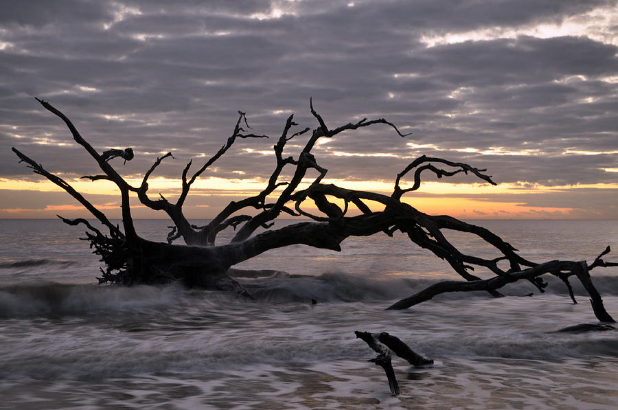 Sunrise at Driftwood Beach 6.5 Photograph by Bruce Gourley