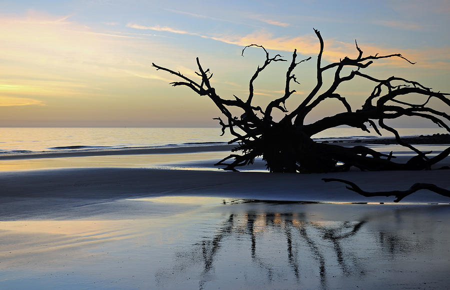 Sunrise at Driftwood Beach 6.6 Photograph by Bruce Gourley