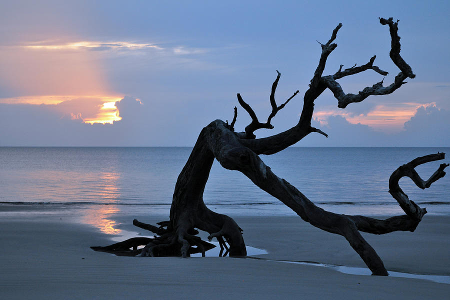 Sunrise at Driftwood Beach 7.1 Photograph by Bruce Gourley