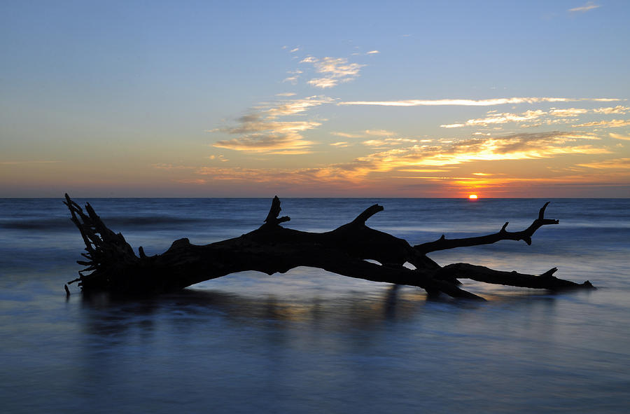 Sunrise at Driftwood Beach 7.2 Photograph by Bruce Gourley