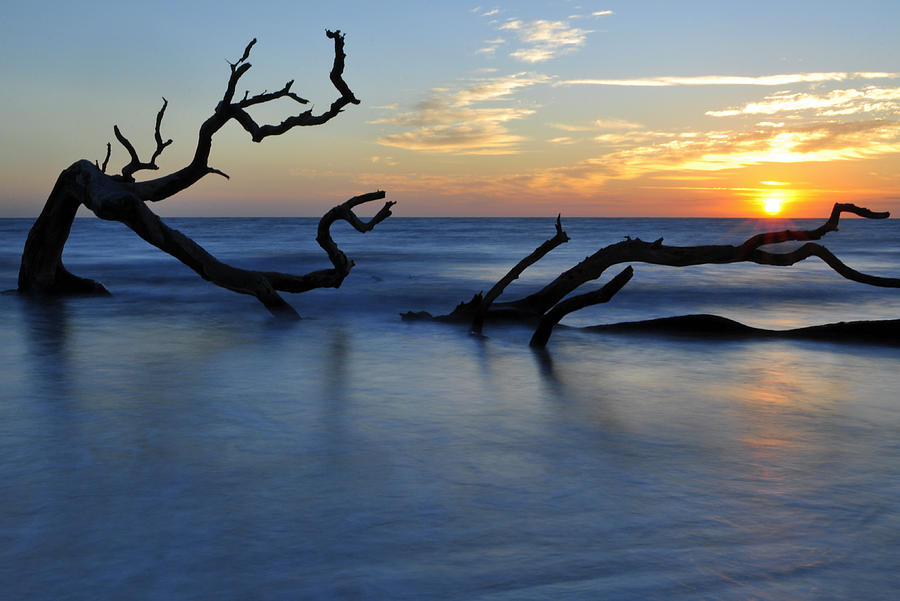 Sunrise at Driftwood Beach 7.3 Photograph by Bruce Gourley